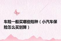 车险一般买哪些险种（小汽车保险怎么买划算）