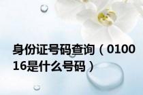 身份证号码查询（010016是什么号码）