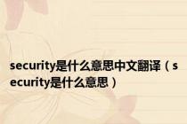security是什么意思中文翻译（security是什么意思）
