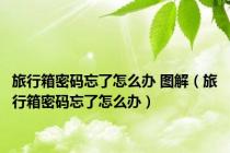 旅行箱密码忘了怎么办 图解（旅行箱密码忘了怎么办）