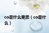 co是什么意思（co是什么）