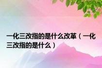一化三改指的是什么改革（一化三改指的是什么）