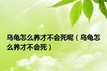 乌龟怎么养才不会死呢（乌龟怎么养才不会死）