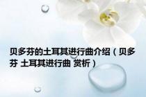 贝多芬的土耳其进行曲介绍（贝多芬 土耳其进行曲 赏析）
