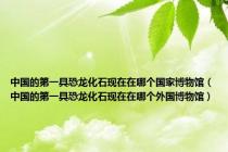 中国的第一具恐龙化石现在在哪个国家博物馆（中国的第一具恐龙化石现在在哪个外国博物馆）