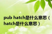 pub hatch是什么意思（hatch是什么意思）