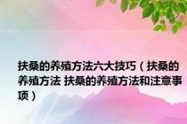 扶桑的养殖方法六大技巧（扶桑的养殖方法 扶桑的养殖方法和注意事项）