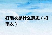 打毛衣是什么意思（打毛衣）