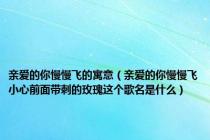 亲爱的你慢慢飞的寓意（亲爱的你慢慢飞小心前面带刺的玫瑰这个歌名是什么）