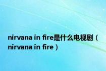 nirvana in fire是什么电视剧（nirvana in fire）
