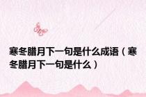 寒冬腊月下一句是什么成语（寒冬腊月下一句是什么）
