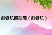 前锯肌解剖图（前锯肌）