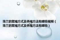 珠兰的繁殖方式及养殖方法有哪些视频（珠兰的繁殖方式及养殖方法有哪些）