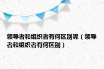 领导者和组织者有何区别呢（领导者和组织者有何区别）