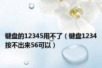 键盘的12345用不了（键盘1234按不出来56可以）