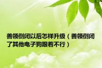 善领倒闭以后怎样升级（善领倒闭了其他电子狗跟着不行）