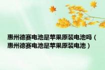 惠州德赛电池是苹果原装电池吗（惠州德赛电池是苹果原装电池）