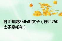 钱江凯威250v缸太子（钱江250太子摩托车）