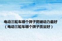 电动三轮车哪个牌子爬坡动力最好（电动三轮车哪个牌子质量好）