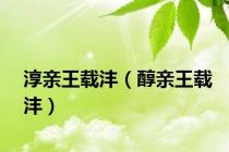 淳亲王载沣（醇亲王载沣）