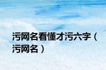 污网名看懂才污六字（污网名）