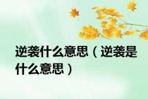 逆袭什么意思（逆袭是什么意思）