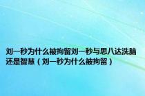 刘一秒为什么被拘留刘一秒与思八达洗脑还是智慧（刘一秒为什么被拘留）