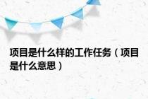 项目是什么样的工作任务（项目是什么意思）