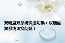 双硬盘双系统快速切换（双硬盘双系统切换问题）