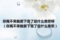 你再不来我要下雪了是什么意思呀（你再不来我要下雪了是什么意思）