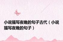 小说描写夜晚的句子古代（小说描写夜晚的句子）