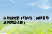 自酿葡萄酒详细步骤（自酿葡萄酒的方法步骤）