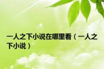 一人之下小说在哪里看（一人之下小说）
