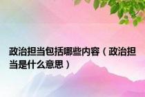 政治担当包括哪些内容（政治担当是什么意思）