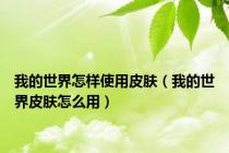 我的世界怎样使用皮肤（我的世界皮肤怎么用）