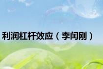 利润杠杆效应（李闰刚）