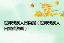 世界残疾人日简报（世界残疾人日宣传资料）