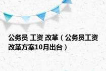 公务员 工资 改革（公务员工资改革方案10月出台）