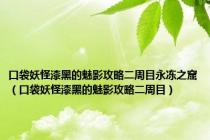 口袋妖怪漆黑的魅影攻略二周目永冻之窟（口袋妖怪漆黑的魅影攻略二周目）