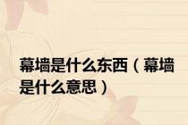幕墙是什么东西（幕墙是什么意思）