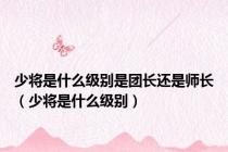 少将是什么级别是团长还是师长（少将是什么级别）