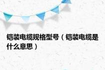 铠装电缆规格型号（铠装电缆是什么意思）