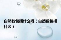 自然数包括什么呀（自然数包括什么）
