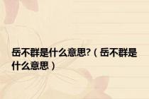 岳不群是什么意思?（岳不群是什么意思）