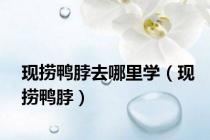现捞鸭脖去哪里学（现捞鸭脖）