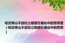 咬定青山不放松立根原在破岩中的意思是（咬定青山不放松立根原在破岩中的意思）