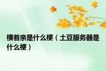 横着亲是什么梗（土豆服务器是什么梗）
