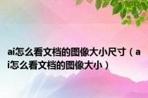 ai怎么看文档的图像大小尺寸（ai怎么看文档的图像大小）