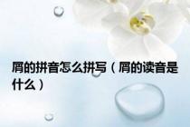 屑的拼音怎么拼写（屑的读音是什么）