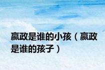 嬴政是谁的小孩（嬴政是谁的孩子）